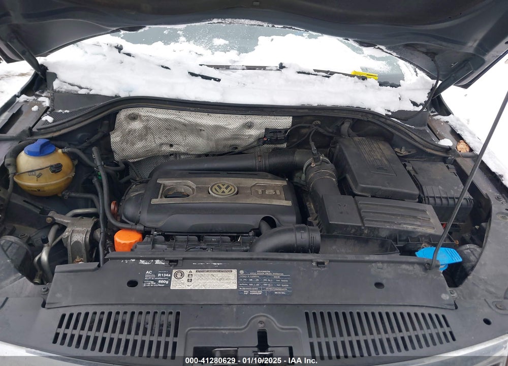 2010 VOLKSWAGEN TIGUAN VIN: WVGAV7AX9AW534554