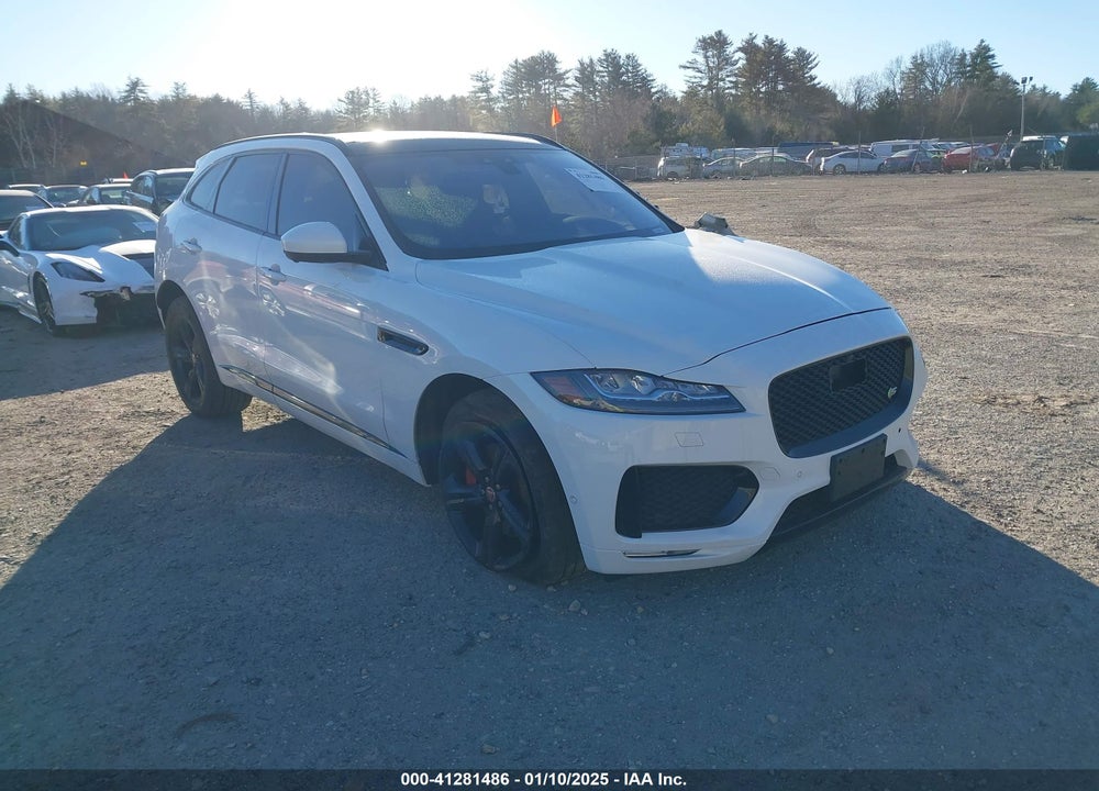 2019 JAGUAR F-PACE S VIN: SADCM2FV9KA602624