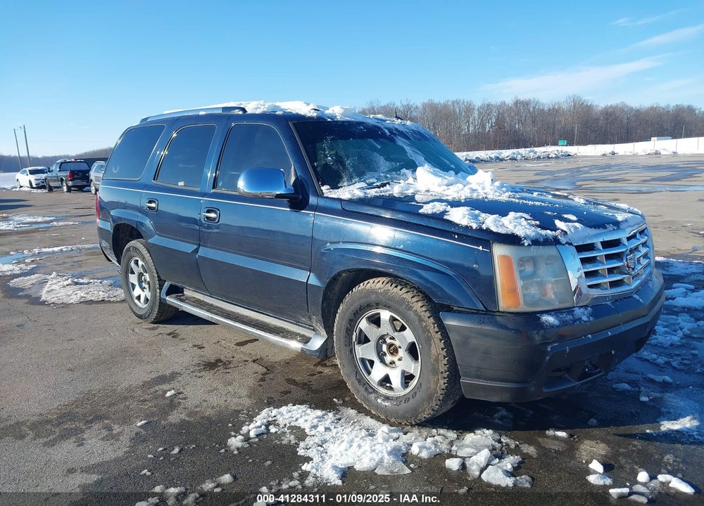 2004 CADILLAC ESCALADE STANDARD VIN: 1GYEK63N64R279704