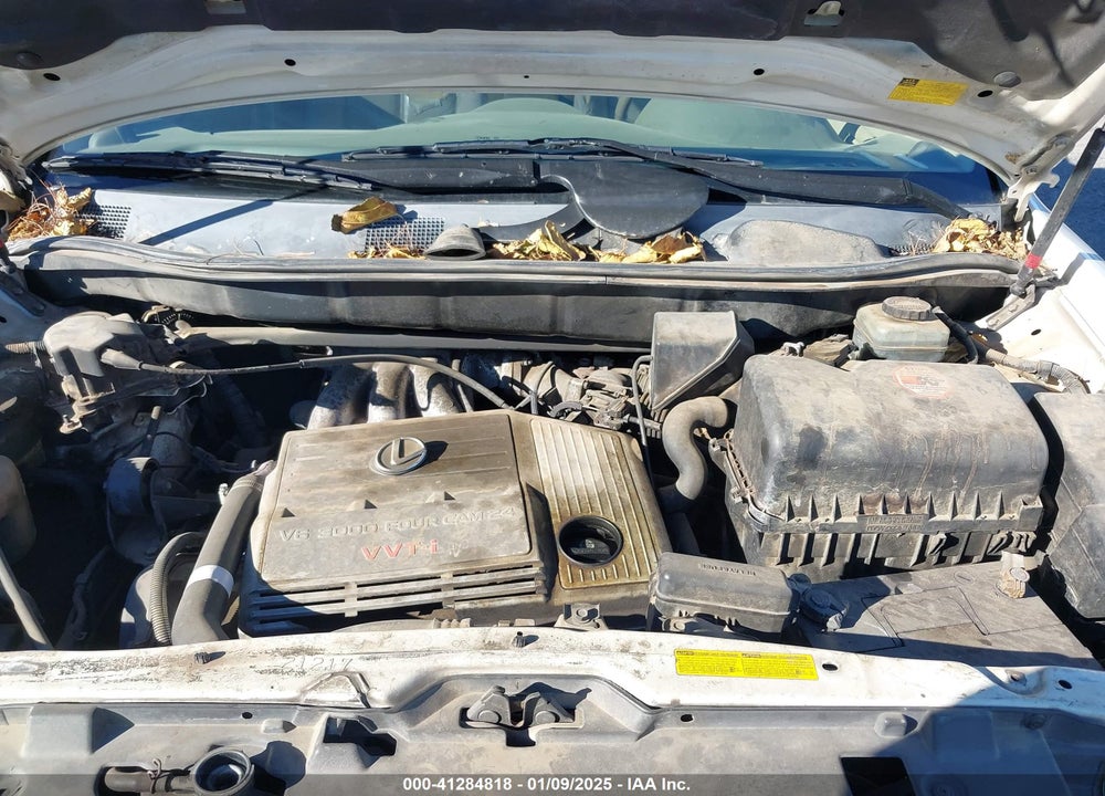 2002 LEXUS RX 300 VIN: JTJGF10U820130260