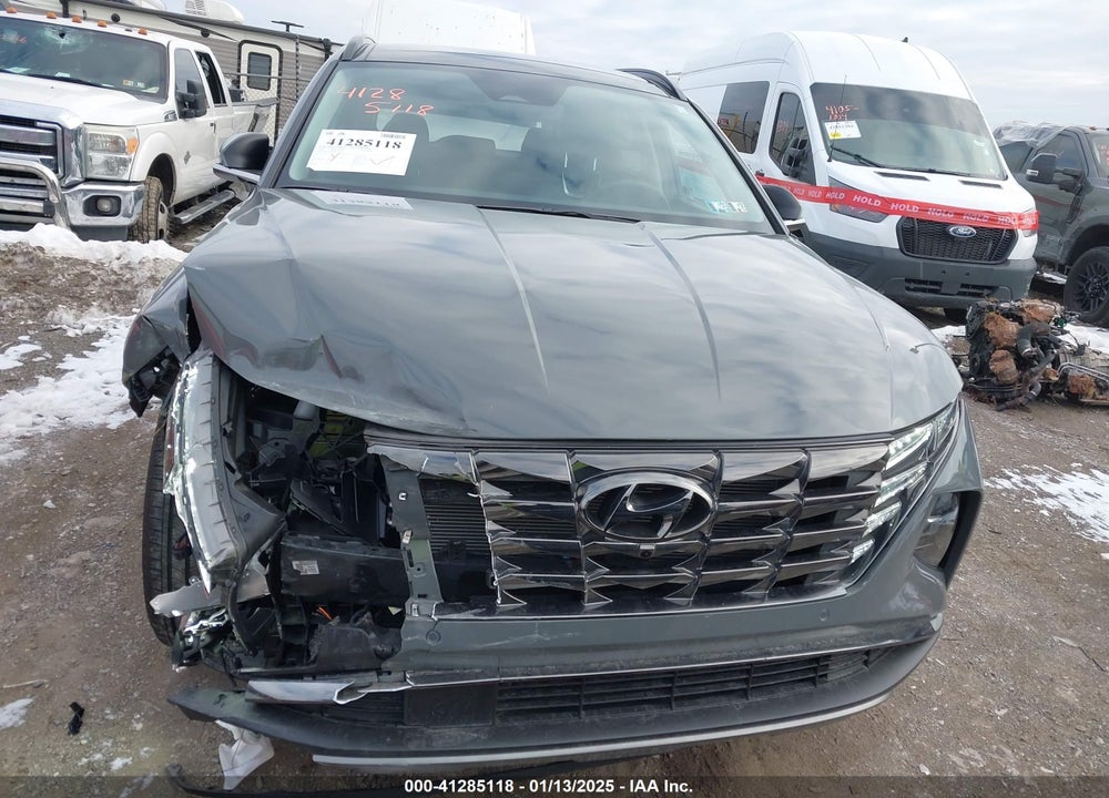 2024 HYUNDAI TUCSON LIMITED VIN: 5NMJECDE2RH379657