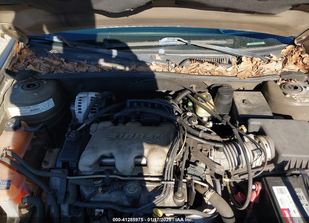 2002 CHEVROLET MALIBU VIN: 1G1ND52J92M551089