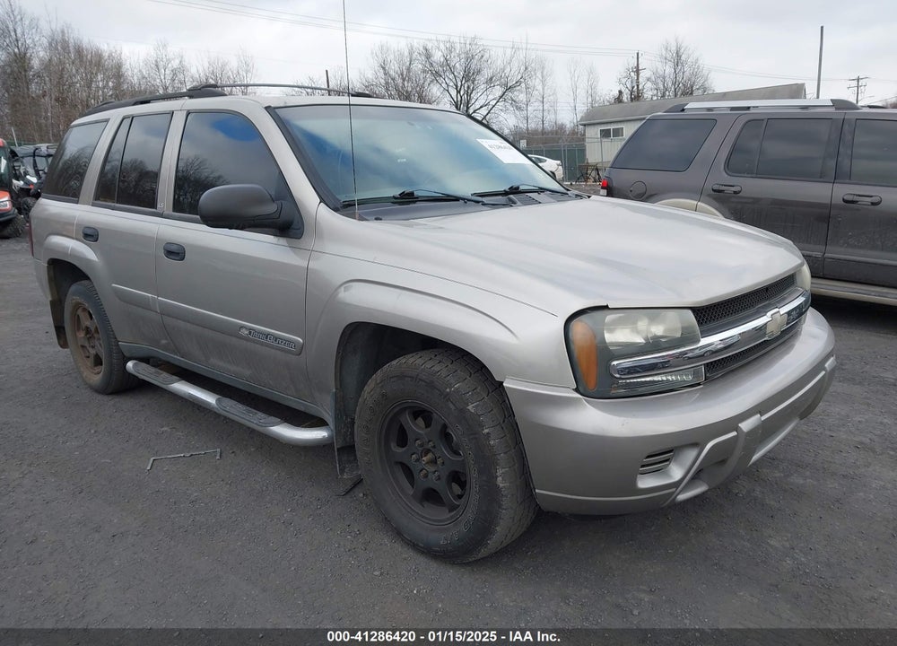 2002 CHEVROLET TRAILBLAZER LS VIN: 1GNDT13S122455417