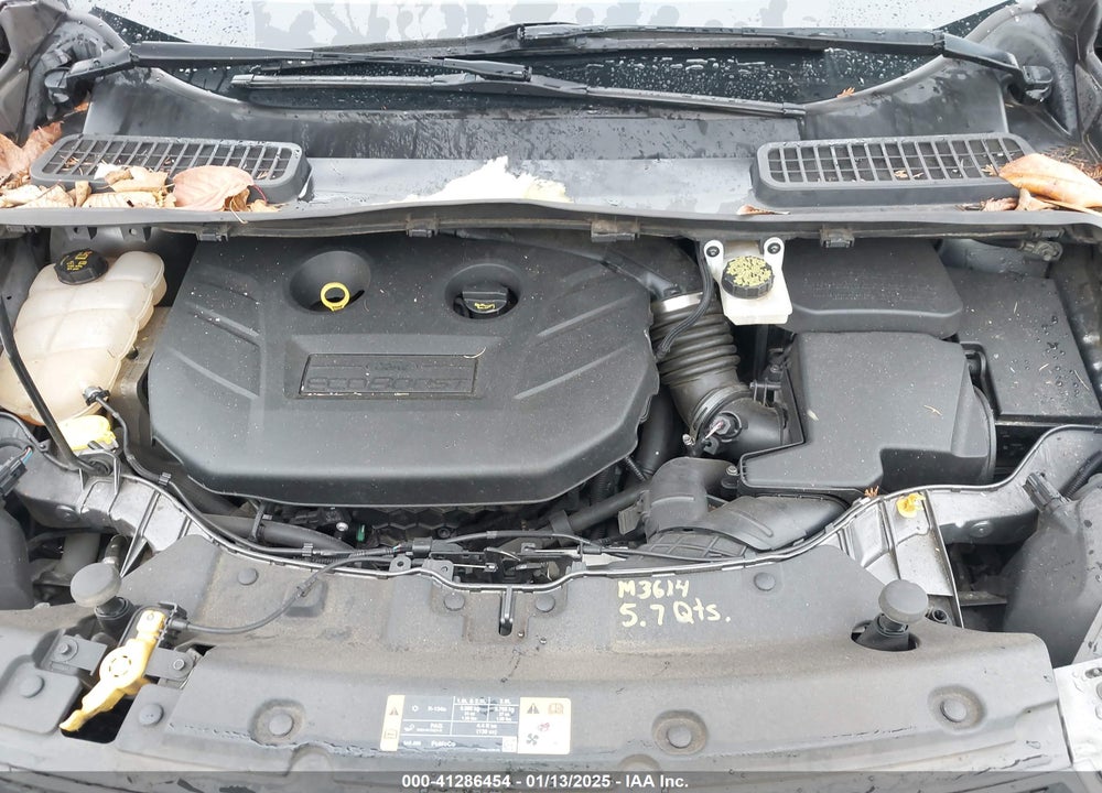 2014 FORD ESCAPE SE VIN: 1FMCU9G94EUB65037