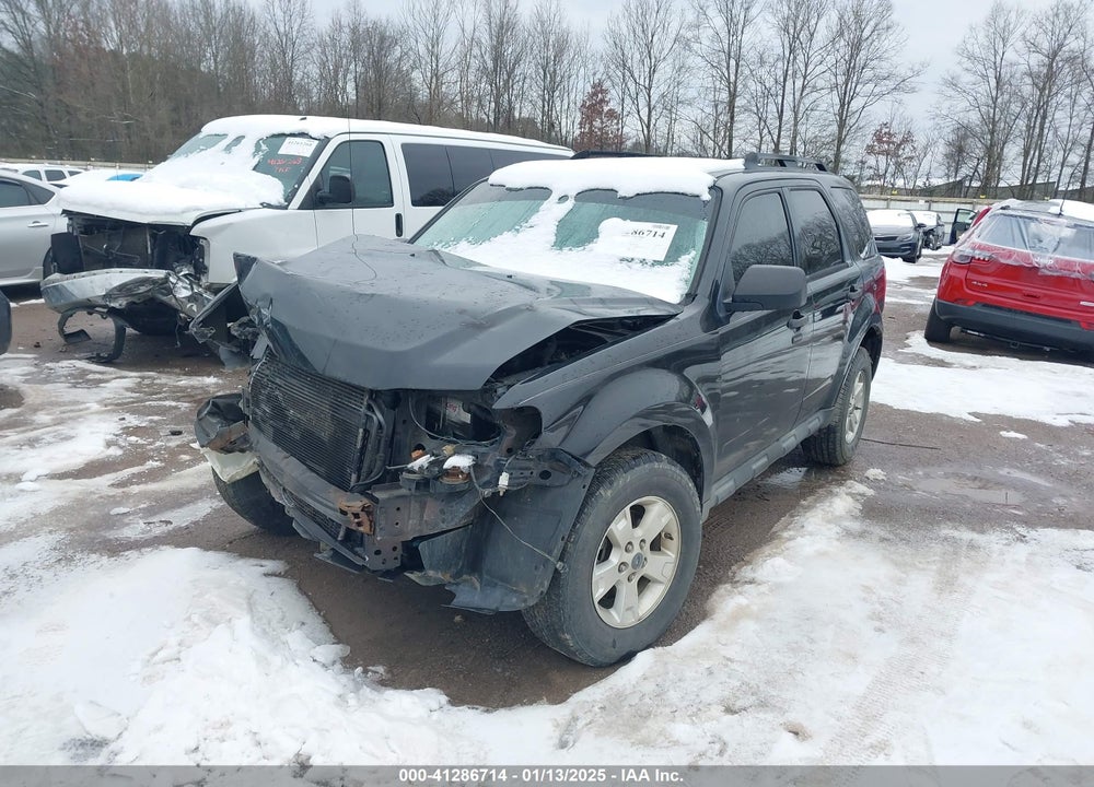 2011 FORD ESCAPE XLT VIN: 1FMCU9DG8BKA61113