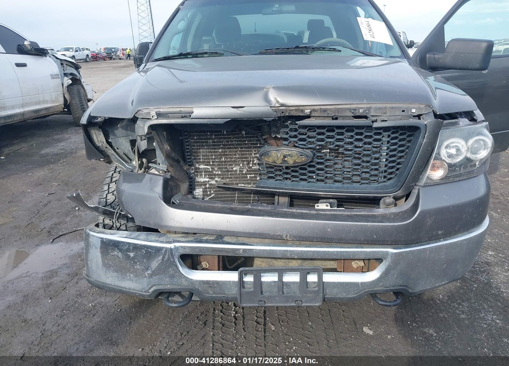 2006 FORD F-150 FX4/LARIAT/XL/XLT VIN: 1FTPX14516FB33460