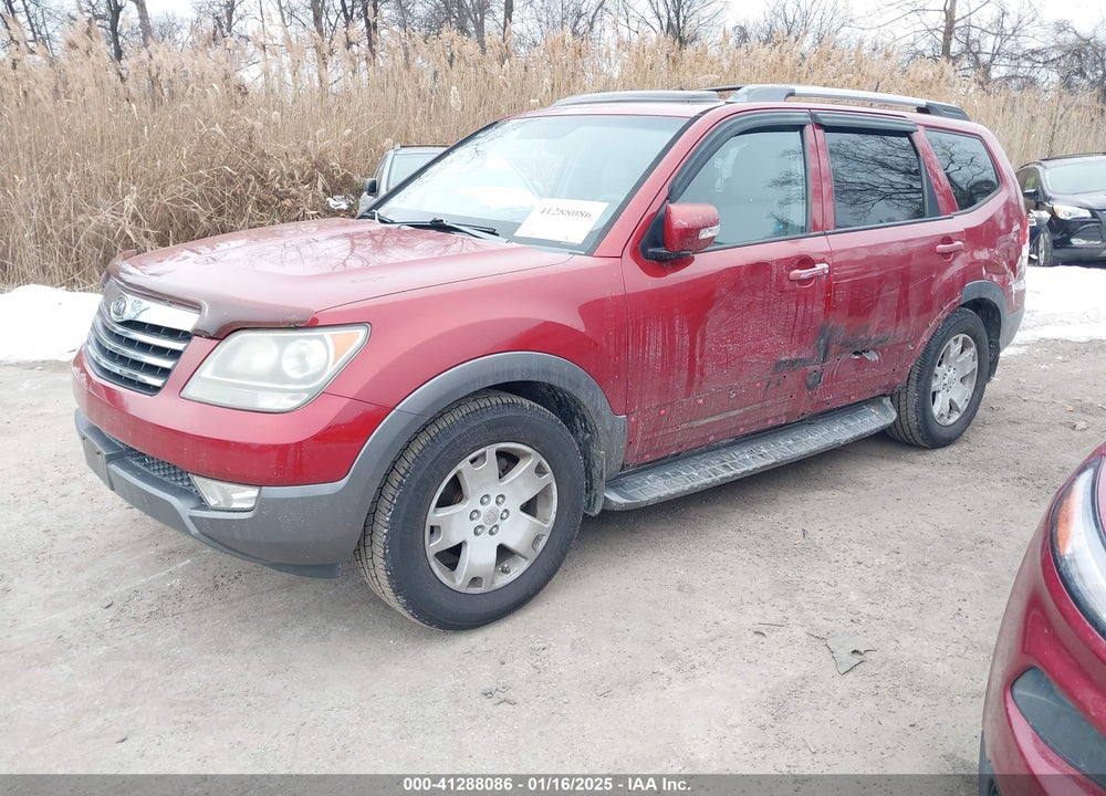 2009 KIA BORREGO EX V6 VIN: KNDJJ741895023913