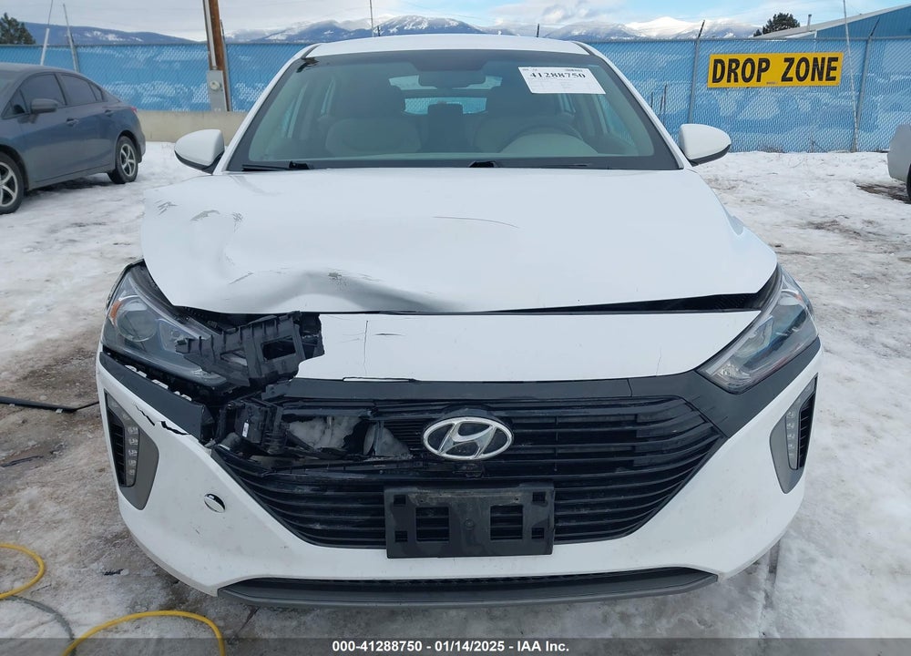 2019 HYUNDAI IONIQ PLUG-IN HYBRID VIN: KMHC65LD6KU139239