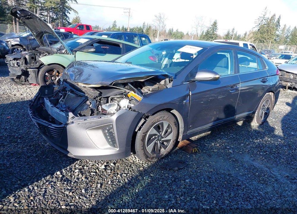 2019 HYUNDAI IONIQ HYBRID VIN: KMHC75LC1KU129139