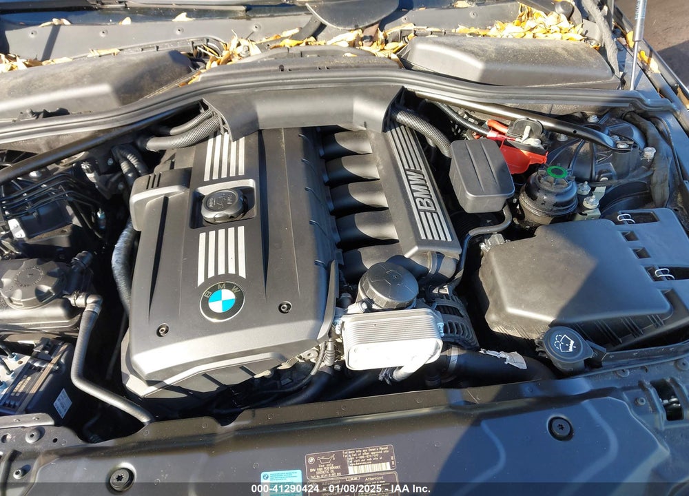 2010 BMW 528I VIN: WBANU5C53AC125232