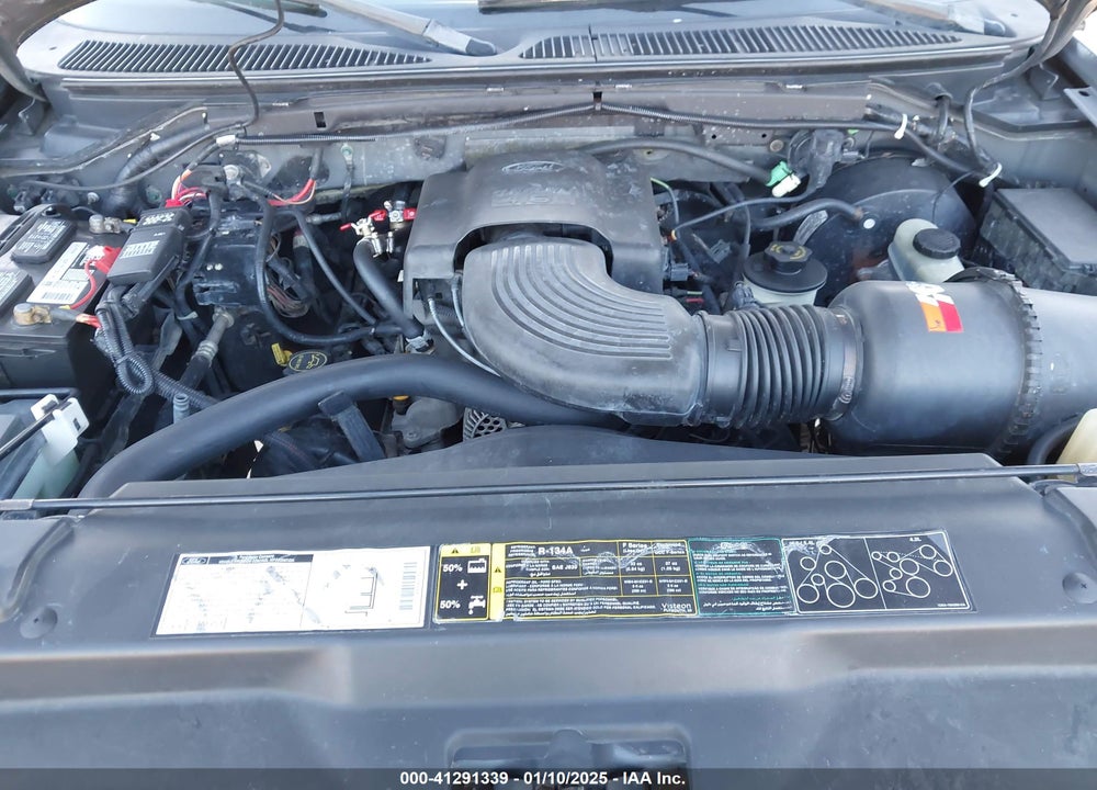 2002 FORD F-150 LARIAT/XL/XLT VIN: 1FTRX18W52NA11017
