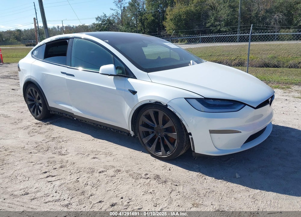 2023 TESLA MODEL X VIN: 7SAXCDE50PF381719