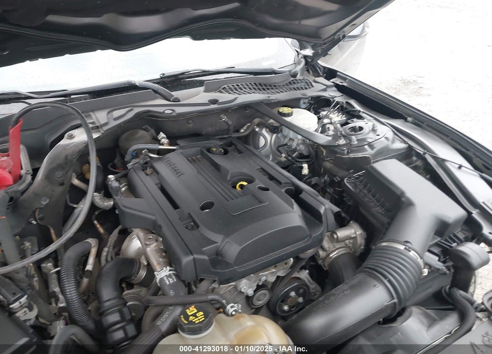 2019 FORD MUSTANG VIN: 1FATP8UH4K5112819
