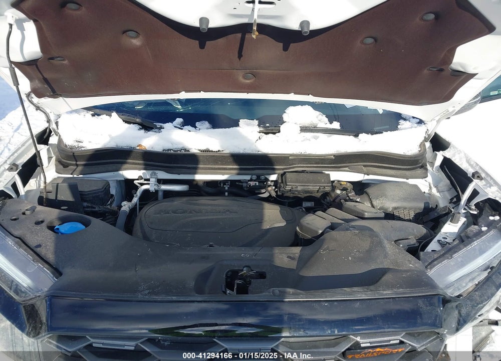 2024 HONDA PASSPORT TRAILSPORT VIN: 5FNYF8H67RB002884