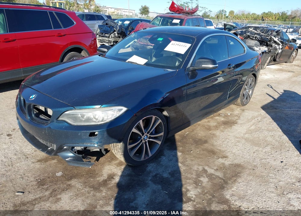 2015 BMW 228I VIN: WBA1F5C53FV257153