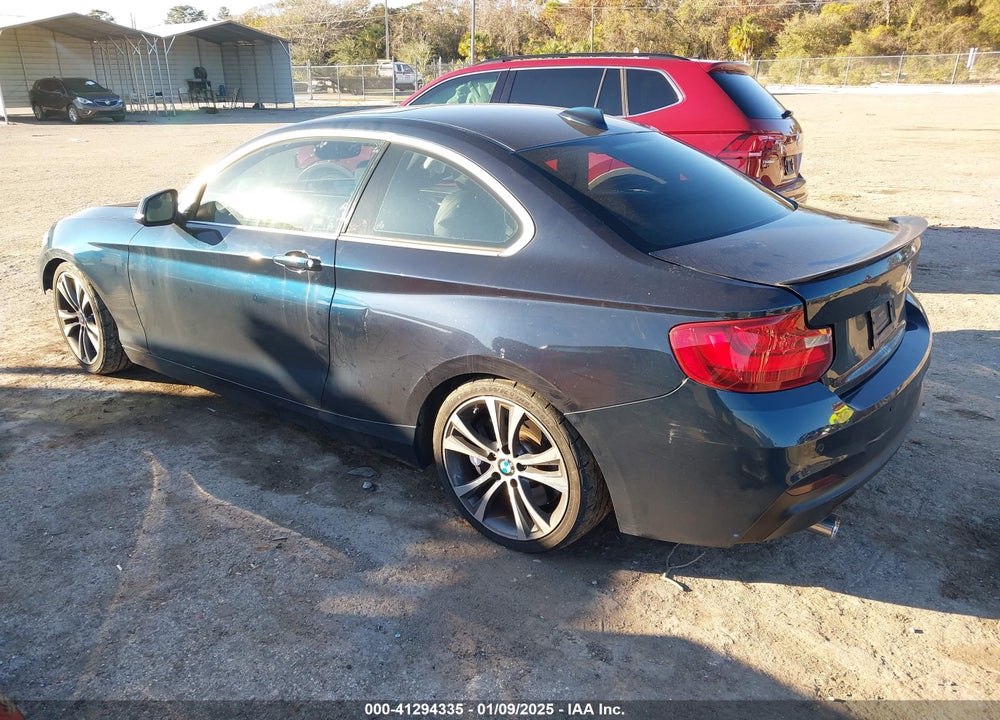2015 BMW 228I VIN: WBA1F5C53FV257153