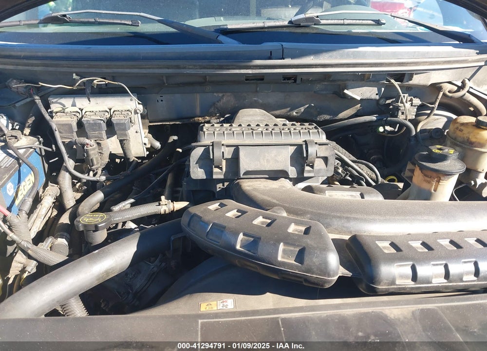2005 FORD F-150 FX4/XLT VIN: 1FTPX04595KE91454