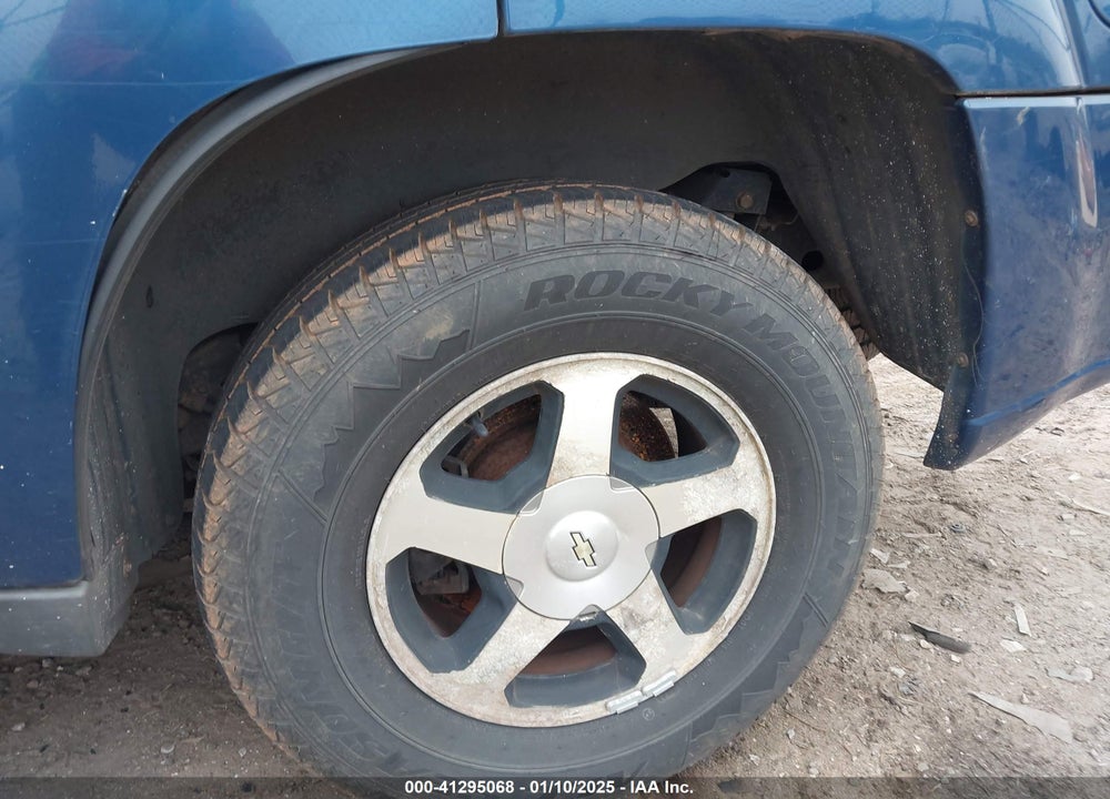 2006 CHEVROLET TRAILBLAZER LS VIN: 1GNDT13S462134560