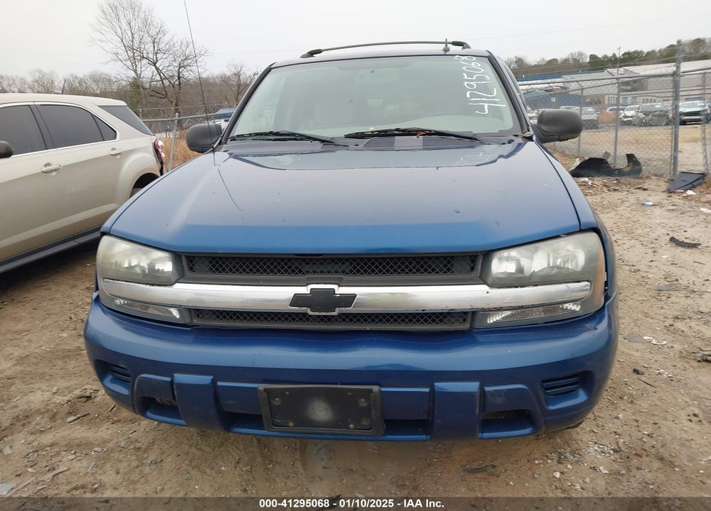 2006 CHEVROLET TRAILBLAZER LS VIN: 1GNDT13S462134560
