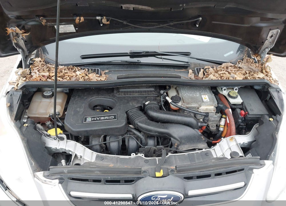 2014 FORD C-MAX VIN: 1FADP5AU1EL519887