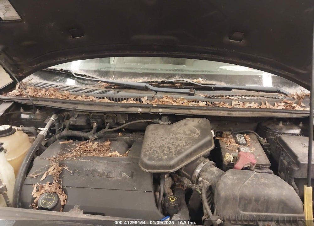 2007 LINCOLN MKX VIN: 2LMDU88C37BJ31189