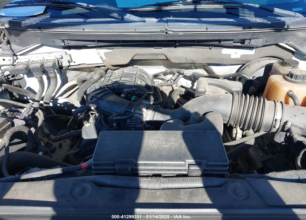 2012 FORD F-150 XL VIN: 1FTMF1CM1CKD12440
