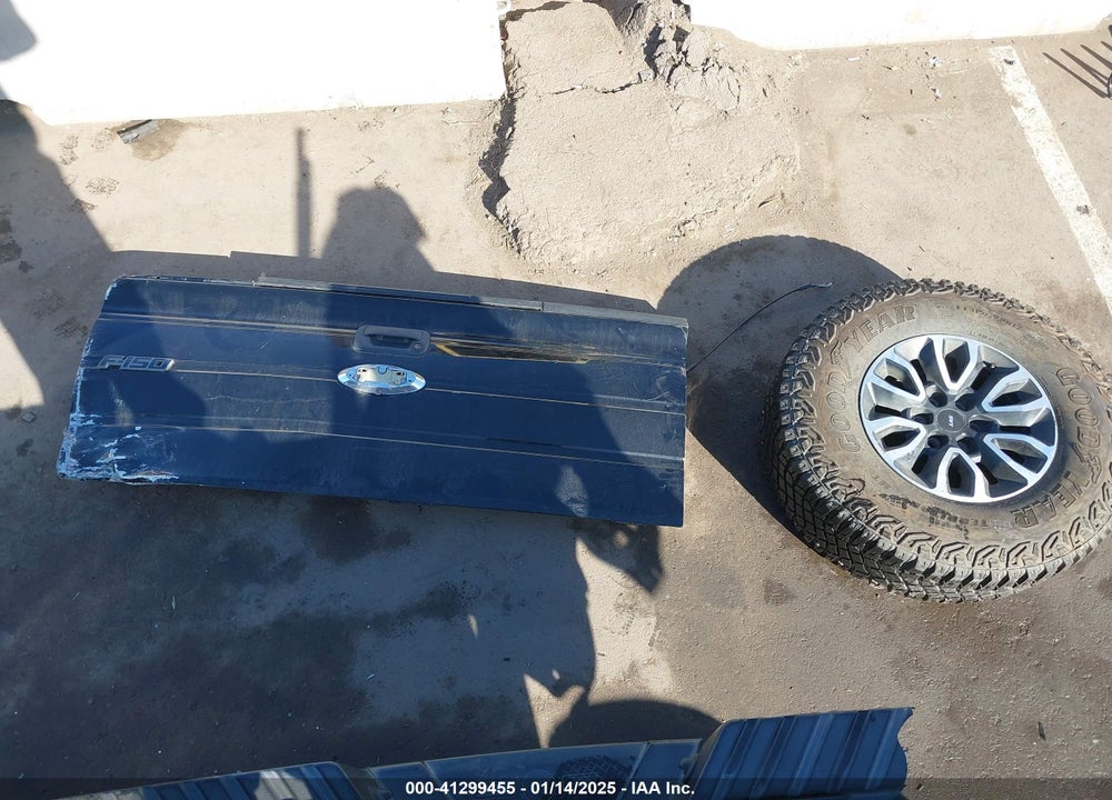2011 FORD F-150 SVT RAPTOR VIN: 1FTFW1R60BFD14110