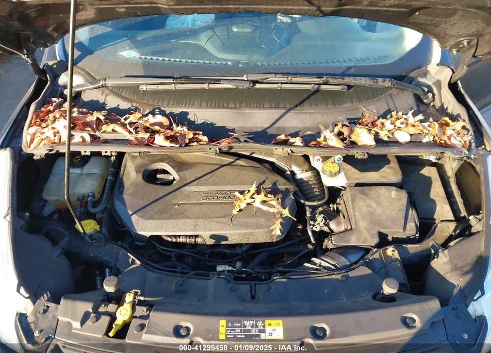 2014 FORD ESCAPE SE VIN: 1FMCU0GX9EUA05584