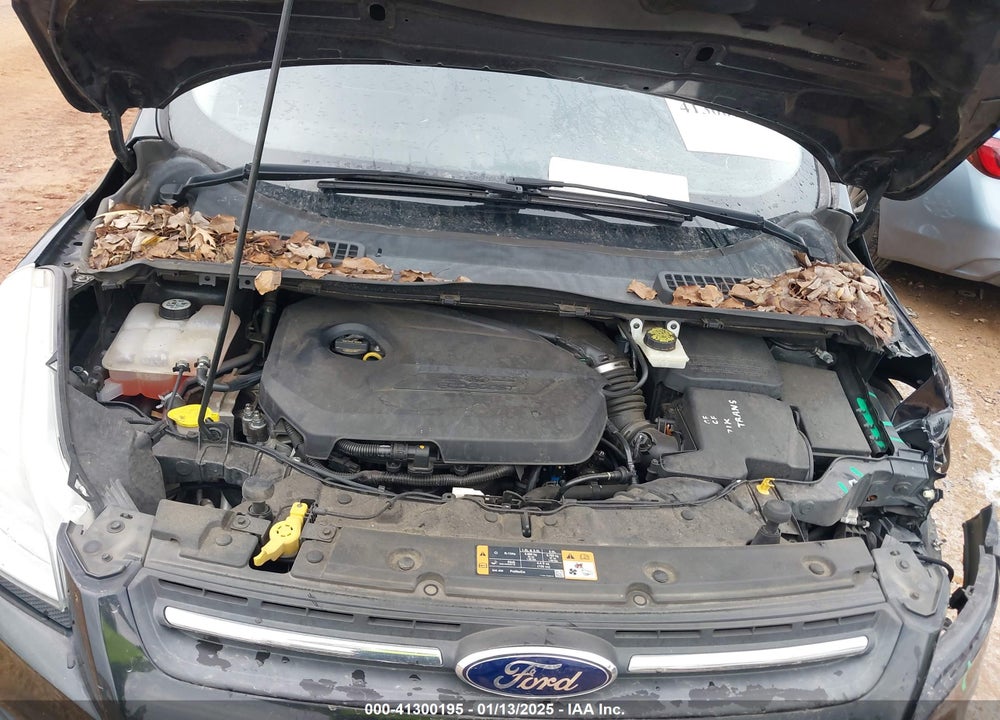2014 FORD ESCAPE VIN: 1FMCU0GX0EUD98746