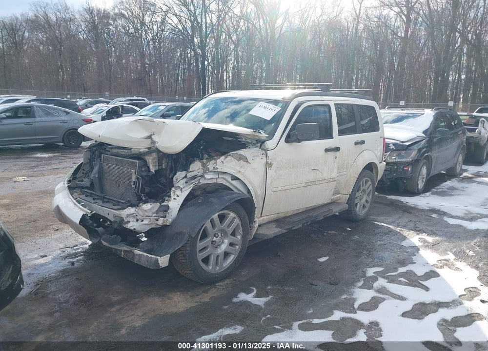 2010 DODGE NITRO DETONATOR VIN: 1D4PU6GX6AW158739