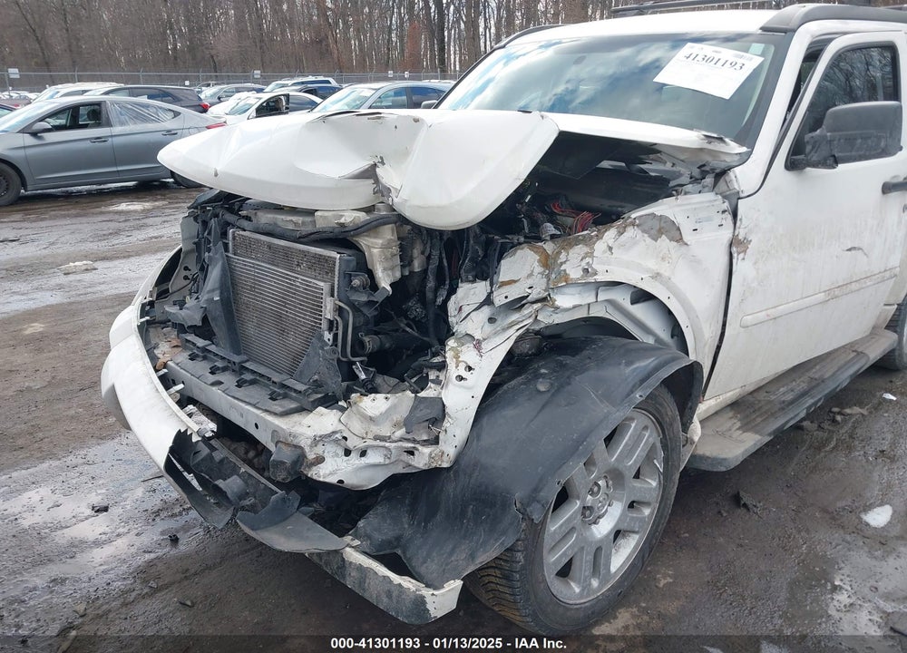 2010 DODGE NITRO DETONATOR VIN: 1D4PU6GX6AW158739