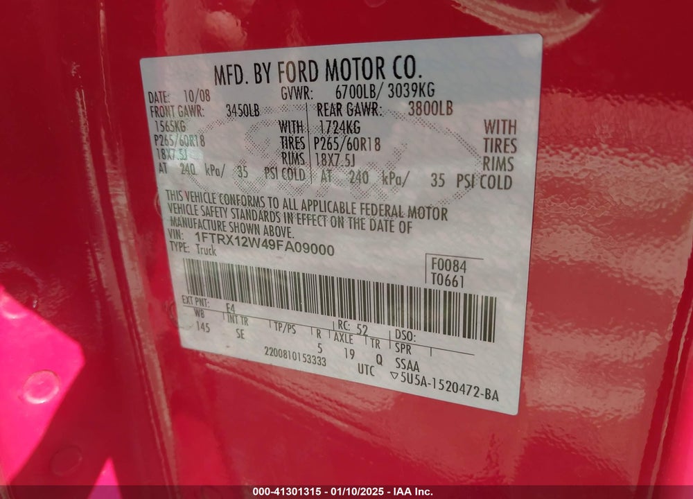 2009 FORD F-150 STX/XL VIN: 1FTRX12W49FA09000