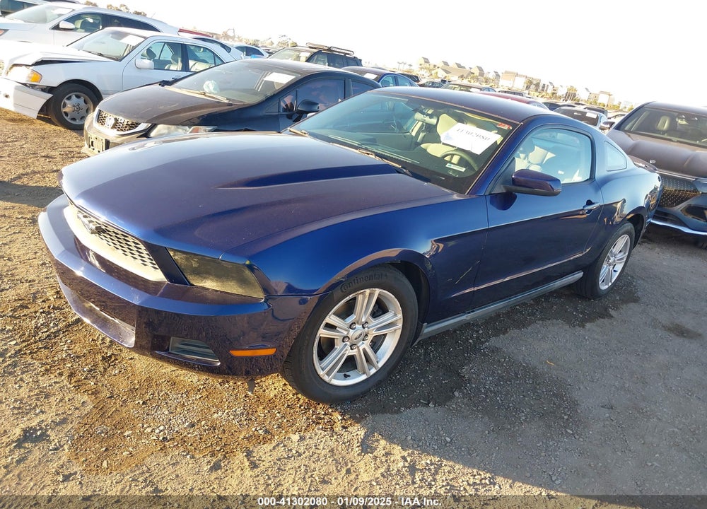 2010 FORD MUSTANG V6/V6 PREMIUM VIN: 1ZVBP8AN0A5128091