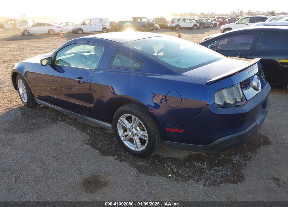 2010 FORD MUSTANG V6/V6 PREMIUM VIN: 1ZVBP8AN0A5128091