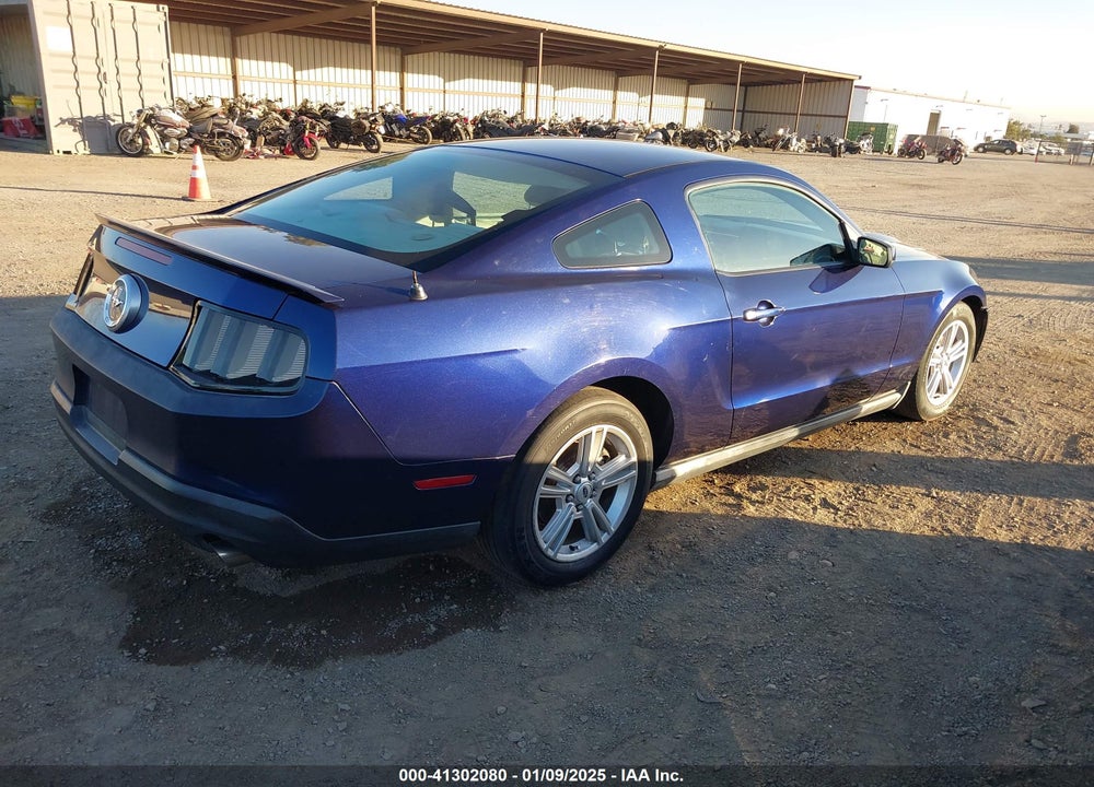 2010 FORD MUSTANG V6/V6 PREMIUM VIN: 1ZVBP8AN0A5128091