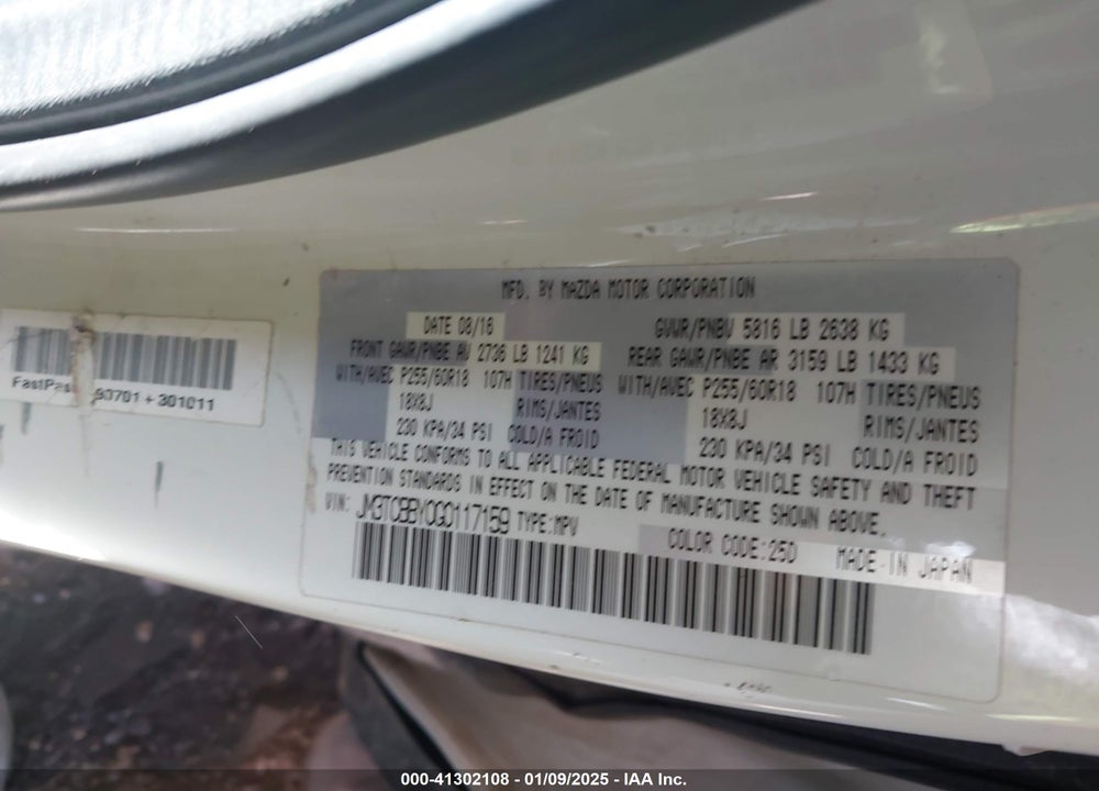 2016 MAZDA CX-9 SPORT VIN: JM3TCBBY0G0117159