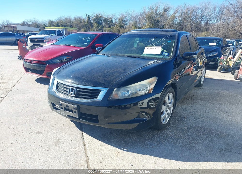 2010 HONDA ACCORD VIN: 1HGCP2F83AA146455