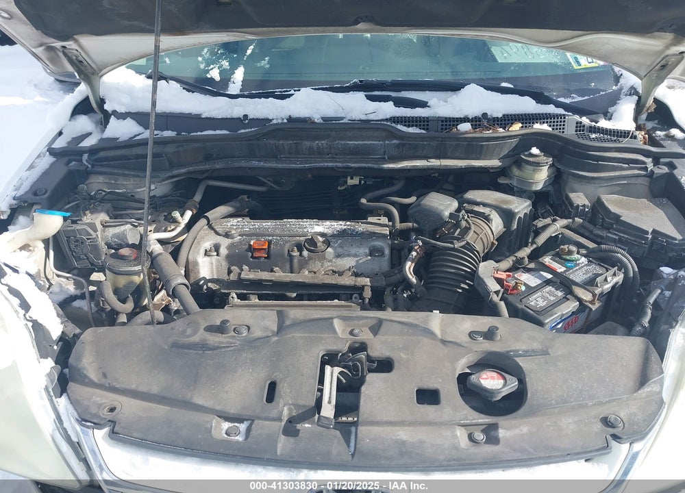 2010 HONDA CR-V EX-L VIN: 5J6RE4H76AL032088