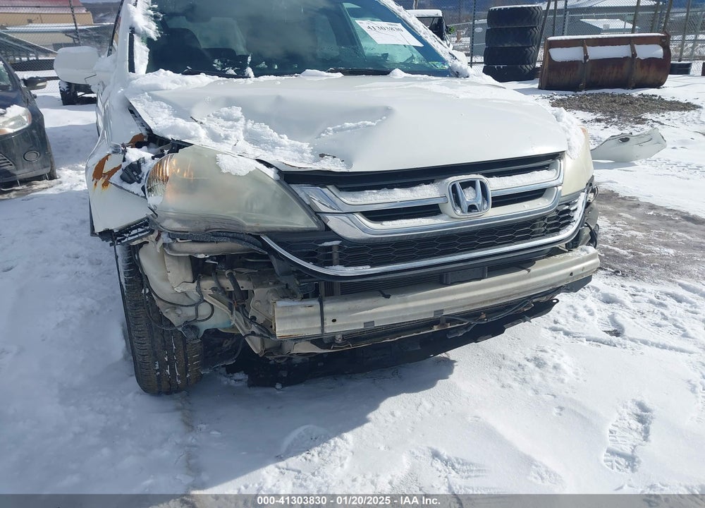 2010 HONDA CR-V EX-L VIN: 5J6RE4H76AL032088