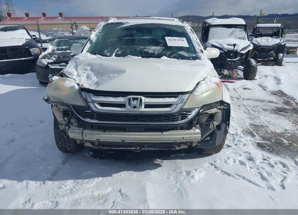 2010 HONDA CR-V EX-L VIN: 5J6RE4H76AL032088