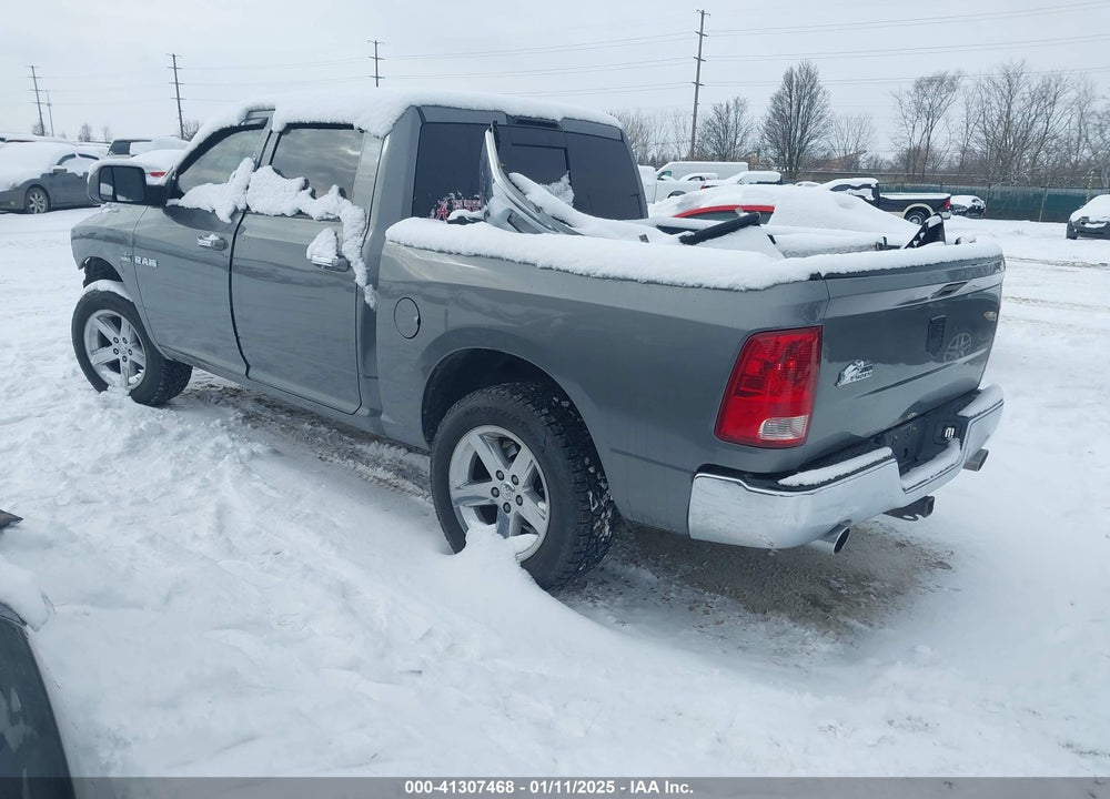 2010 DODGE RAM 1500 SLT/SPORT/TRX VIN: 1D7RV1CT0AS207424