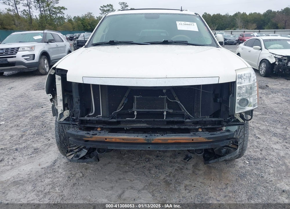 2010 CADILLAC ESCALADE VIN: 3GYVKLEF8AG285021