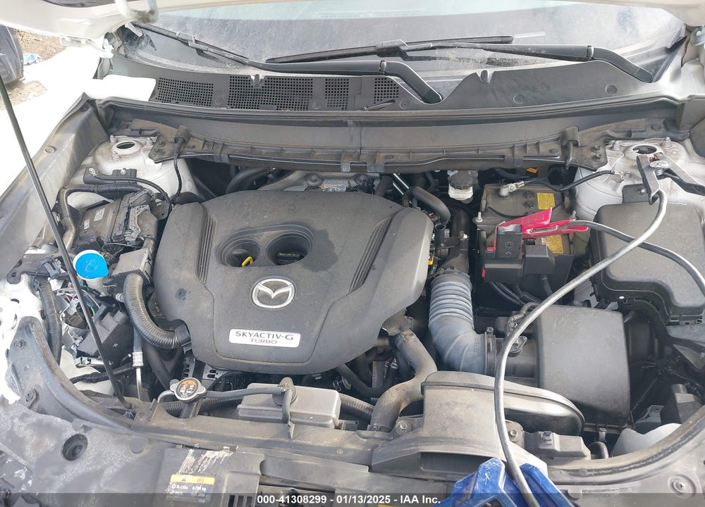 2021 MAZDA CX-9 VIN: JM3TCBDY6M0525626