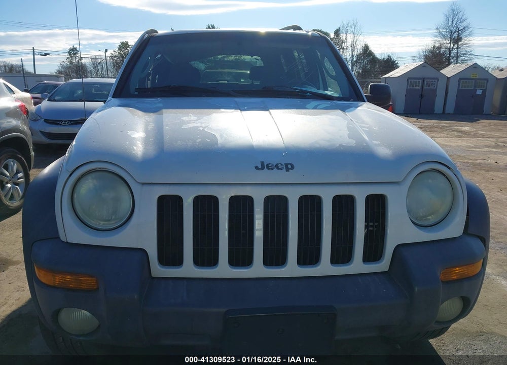 2002 JEEP LIBERTY SPORT VIN: 1J4GL48K72W262899