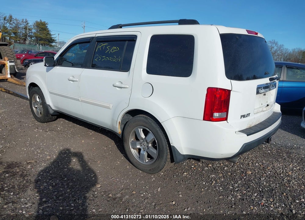 2010 HONDA PILOT VIN: 5FNYF4H41AB017313
