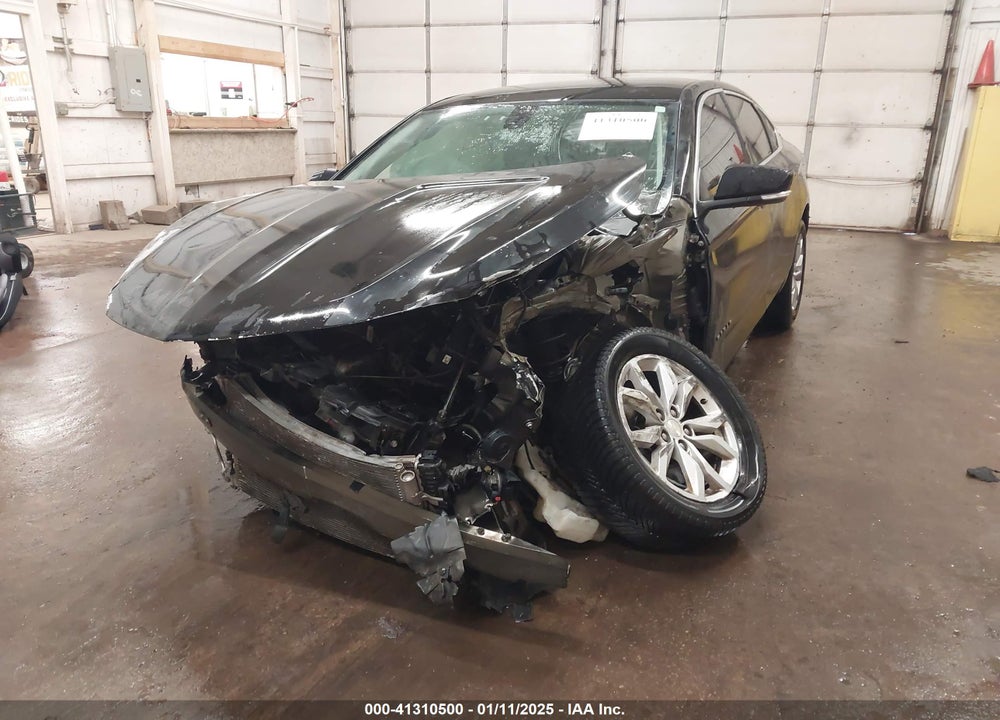 2019 CHEVROLET IMPALA VIN: 1G11Z5SA6KU140667