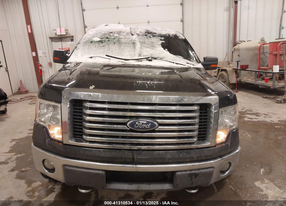 2010 FORD F-150 VIN: 1FTFW1EV9AFA04789