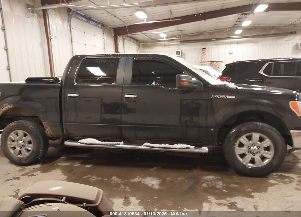 2010 FORD F-150 VIN: 1FTFW1EV9AFA04789