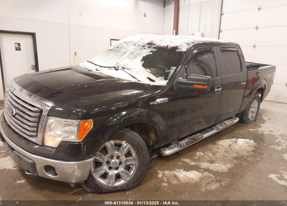 2010 FORD F-150 VIN: 1FTFW1EV9AFA04789