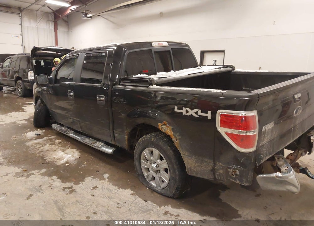 2010 FORD F-150 VIN: 1FTFW1EV9AFA04789